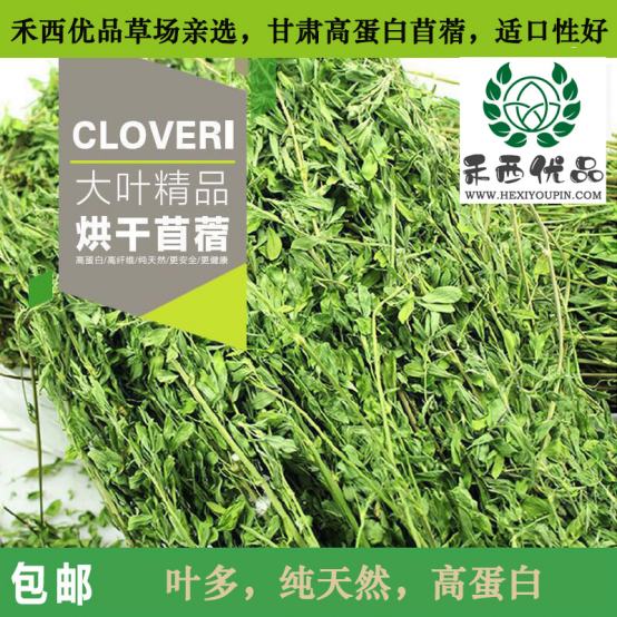 烘干苜蓿草对于幼兔兔的重要性 燕麦草 国产燕麦草 甘肃燕麦草 军马场燕麦草 奶牛牧草 甘肃张掖山丹县禾西优品网络有限公司 烘干苜蓿草对于幼兔兔的重要性 燕麦草 国产燕麦草 甘肃燕麦草 军马场燕麦草 奶牛牧草 甘肃张掖山丹县禾西优品网络有限公司
